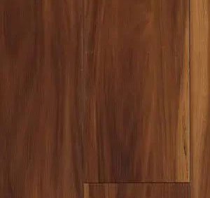 Acacia Harmony