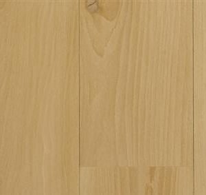 Accent Beech