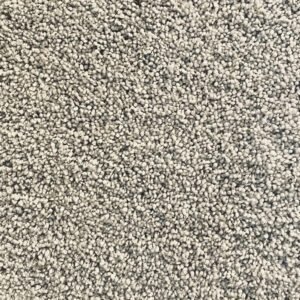 Carpet 01